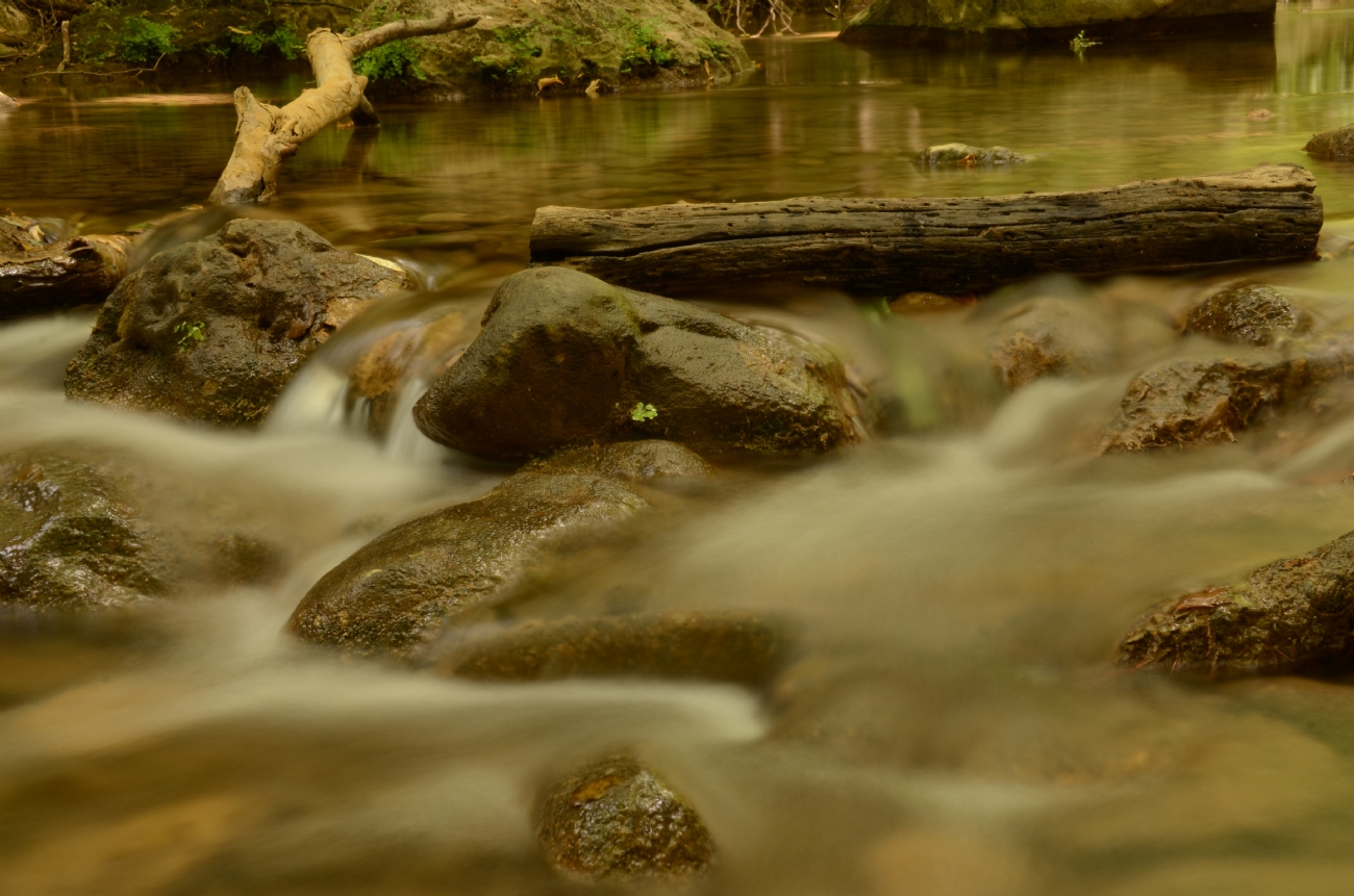 Photographer: elananhelman