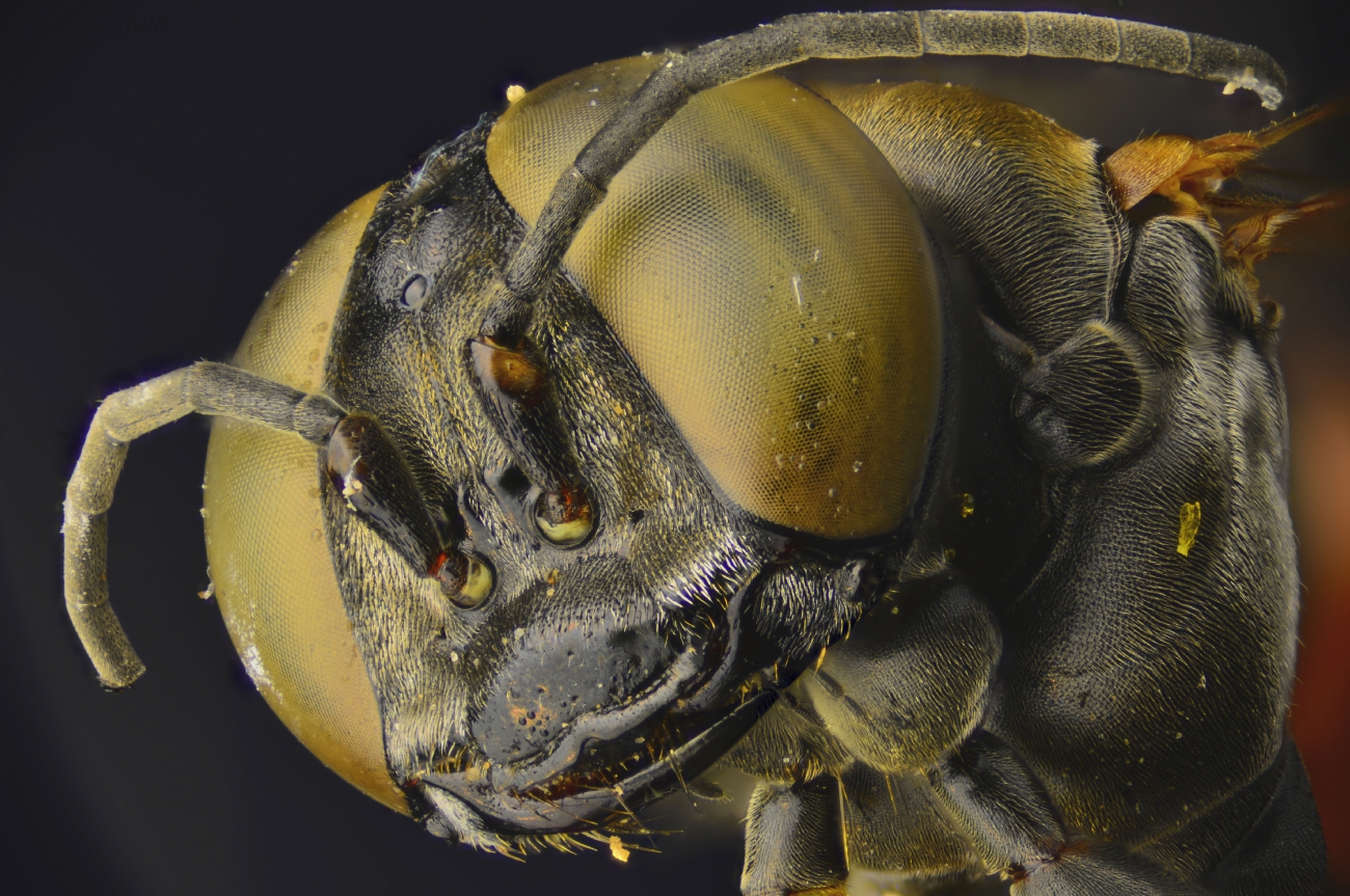 Photographer: geraneufeld