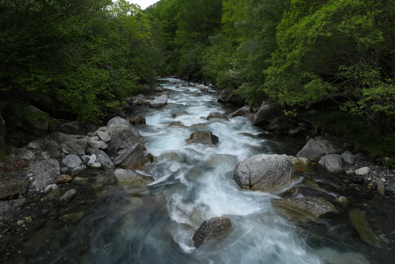 Photographer: yael megeri 