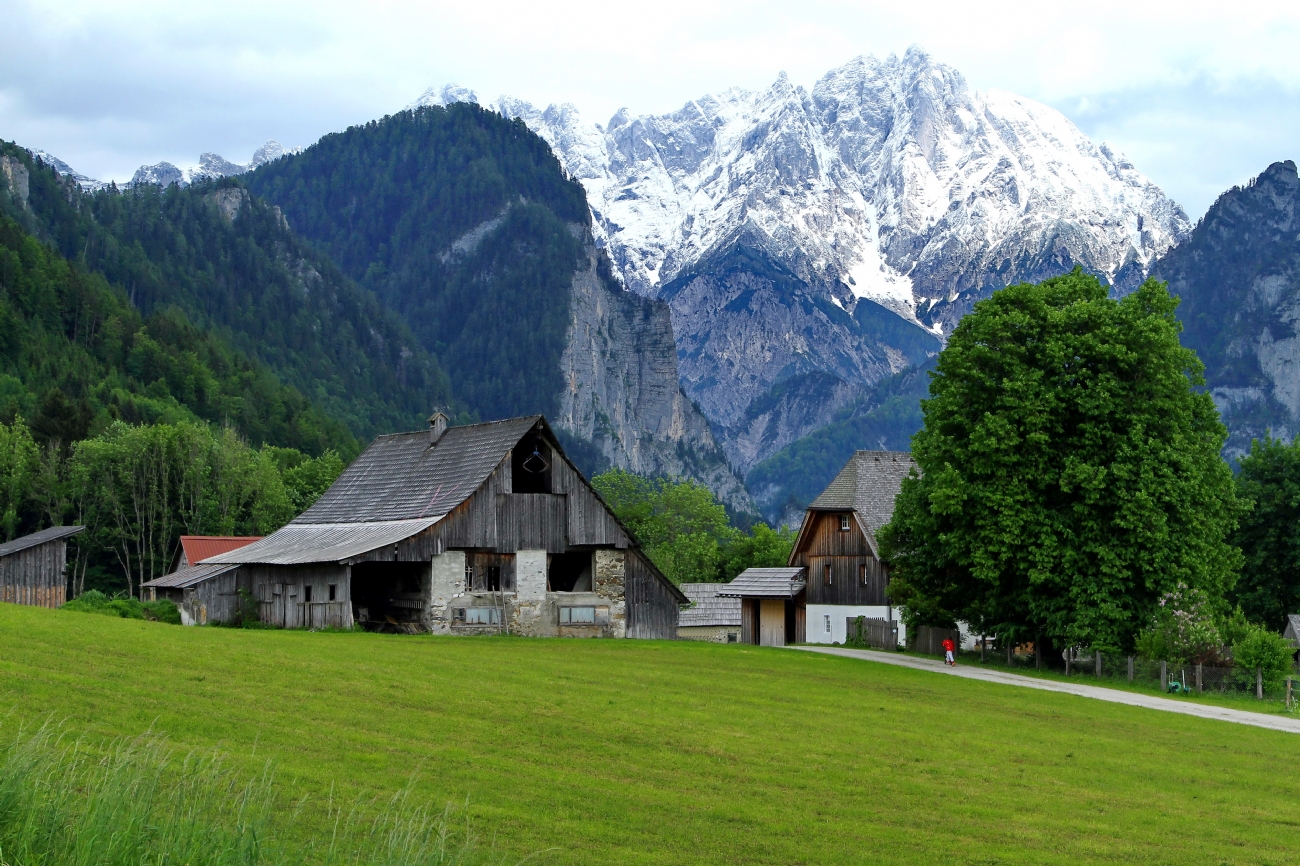 Photographer: menachem lazar