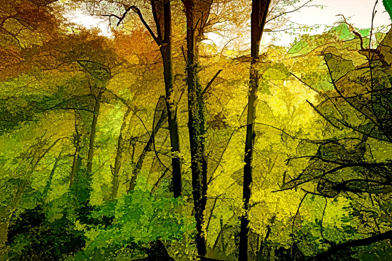 Photographer: oritgafni