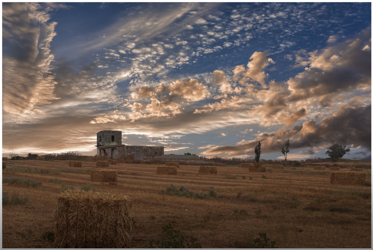 Photographer: moshemallal