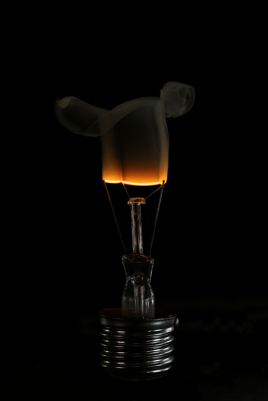 Photographer: chaymturak