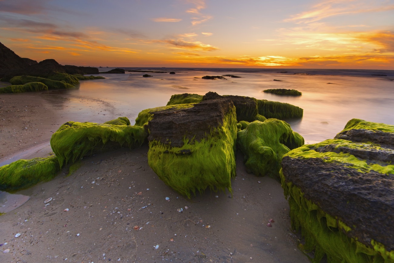 Photographer: motifadida