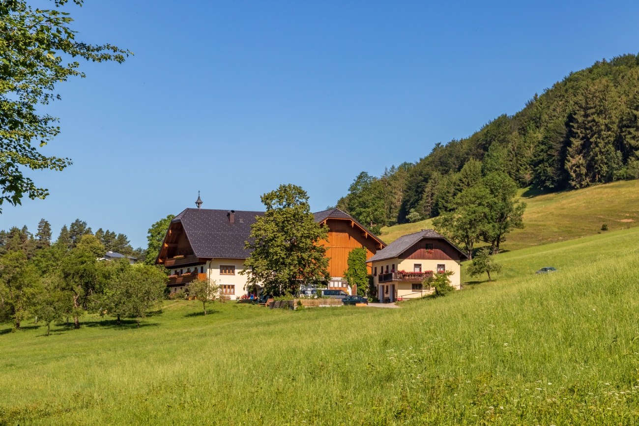 By: Nikolay Tatarchuk