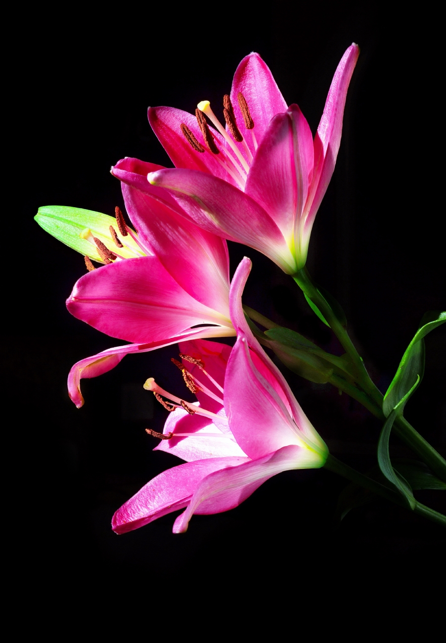 Photographer: yoelvislov