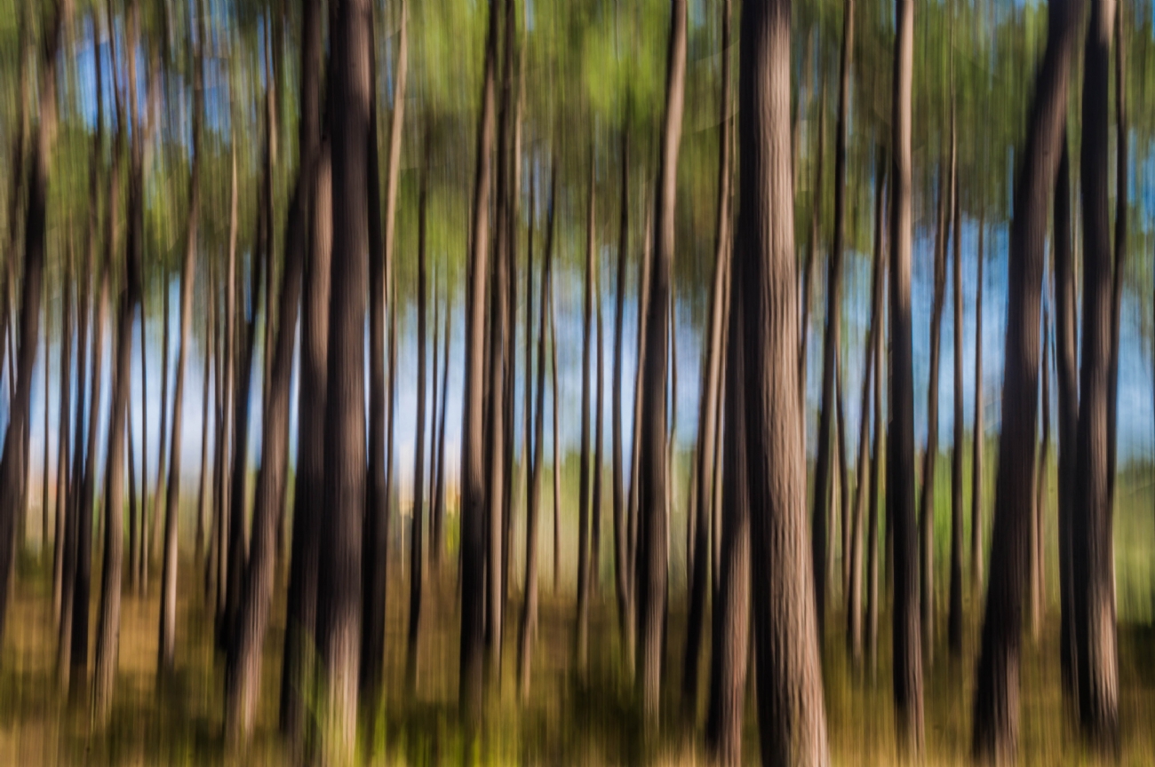 Photographer: joshua raif