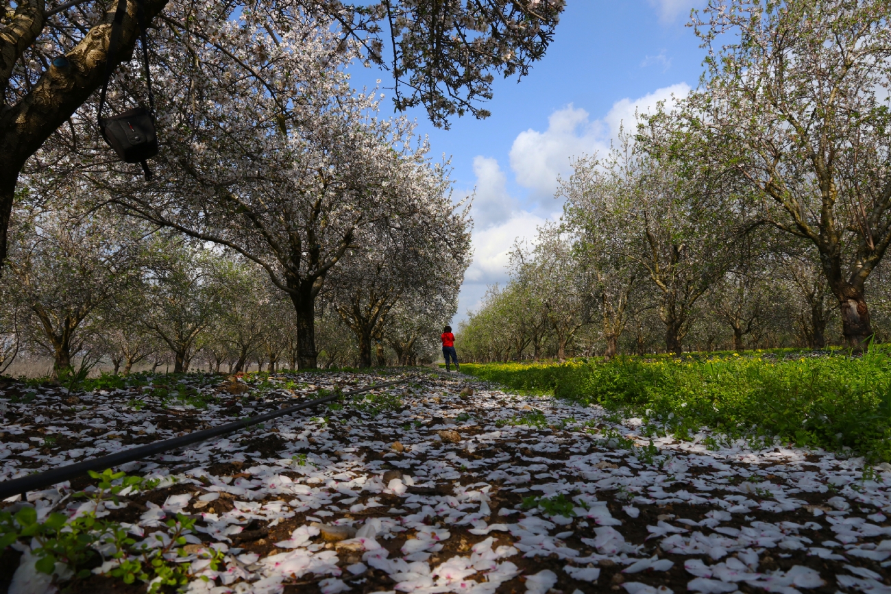 Photographer: yael megeri 