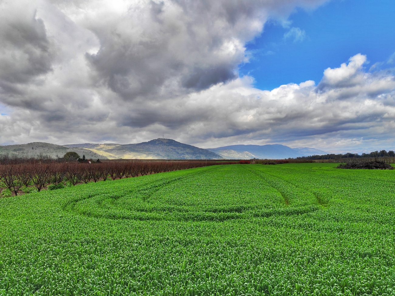 Photographer: yael megeri 