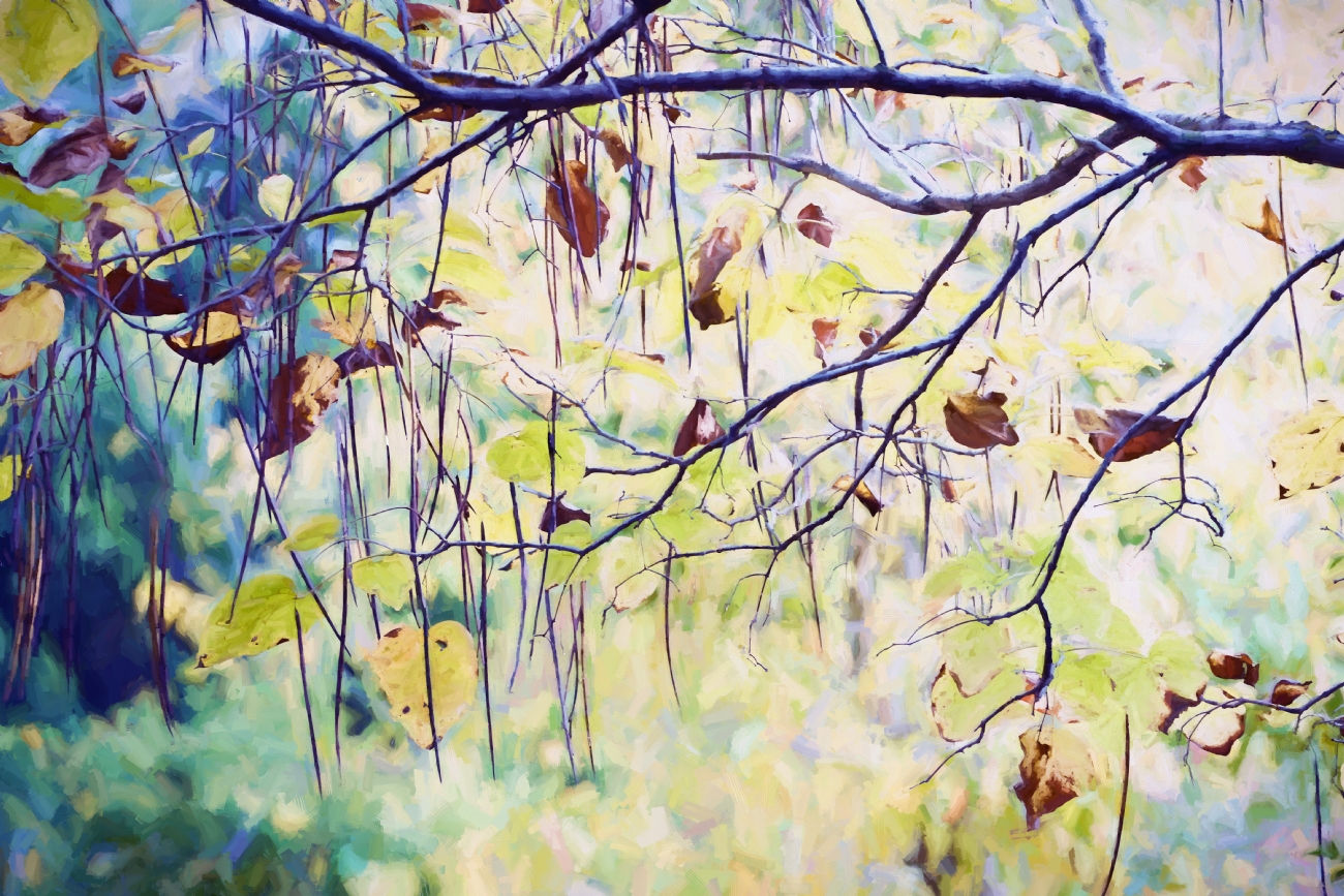 By: Orit Gafni