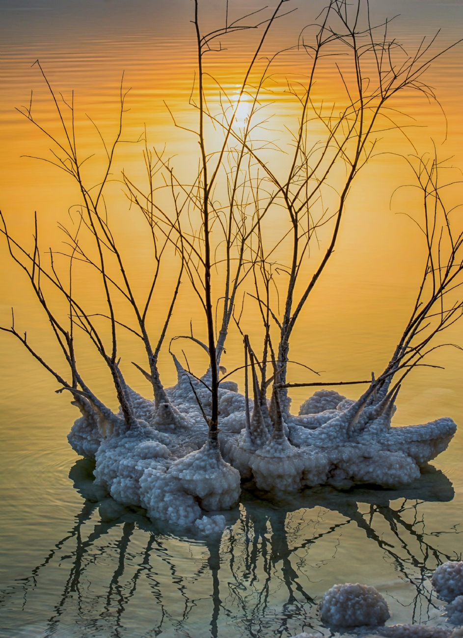 Photographer: tanyaklimenko