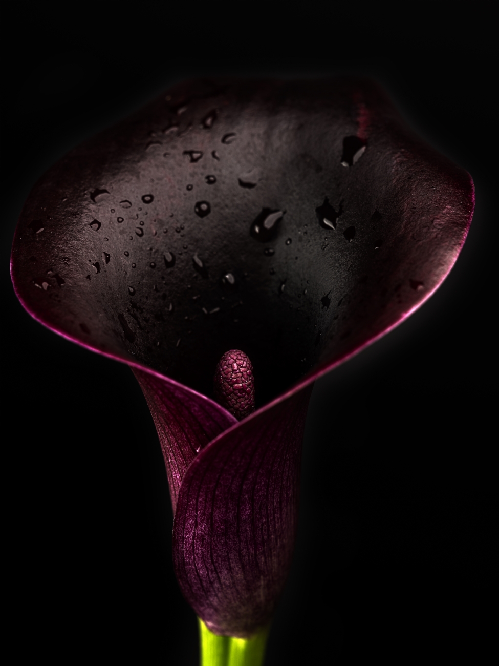 Photographer: oferzilberstein