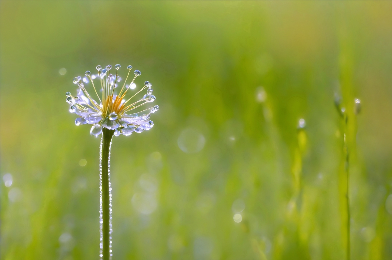 Photographer: yoelvislov