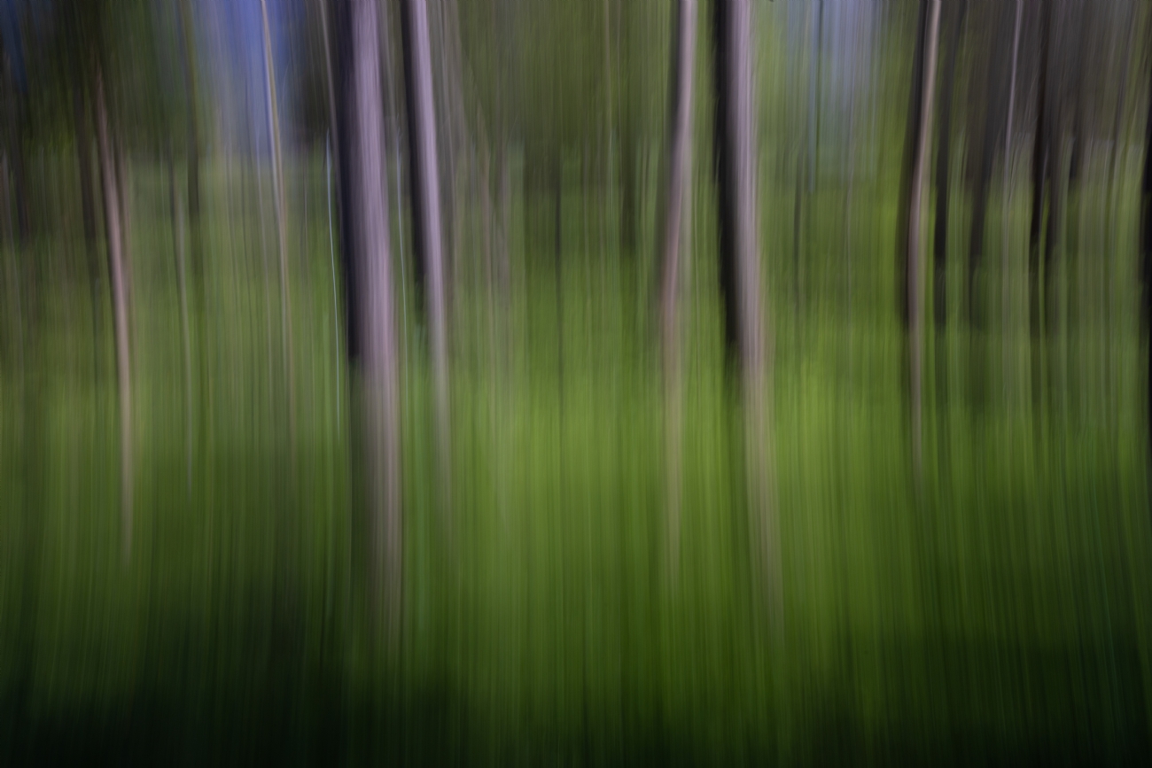 By: Hezi Goldenberg