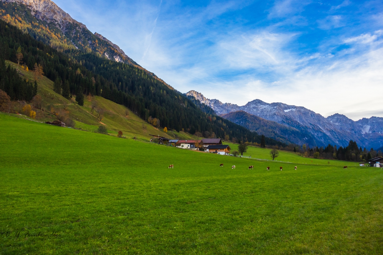 By: chaiim feynhendler