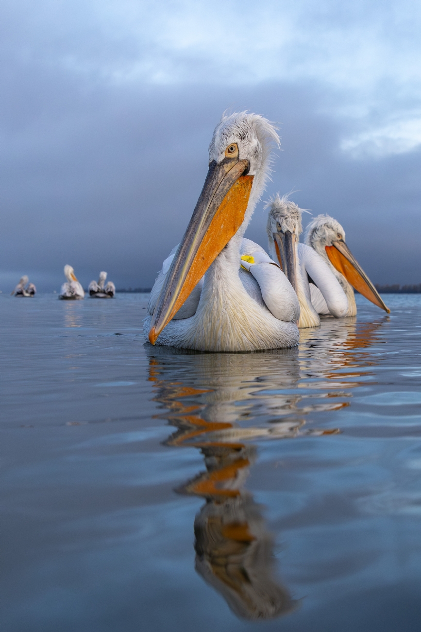 Best Photos of the Month