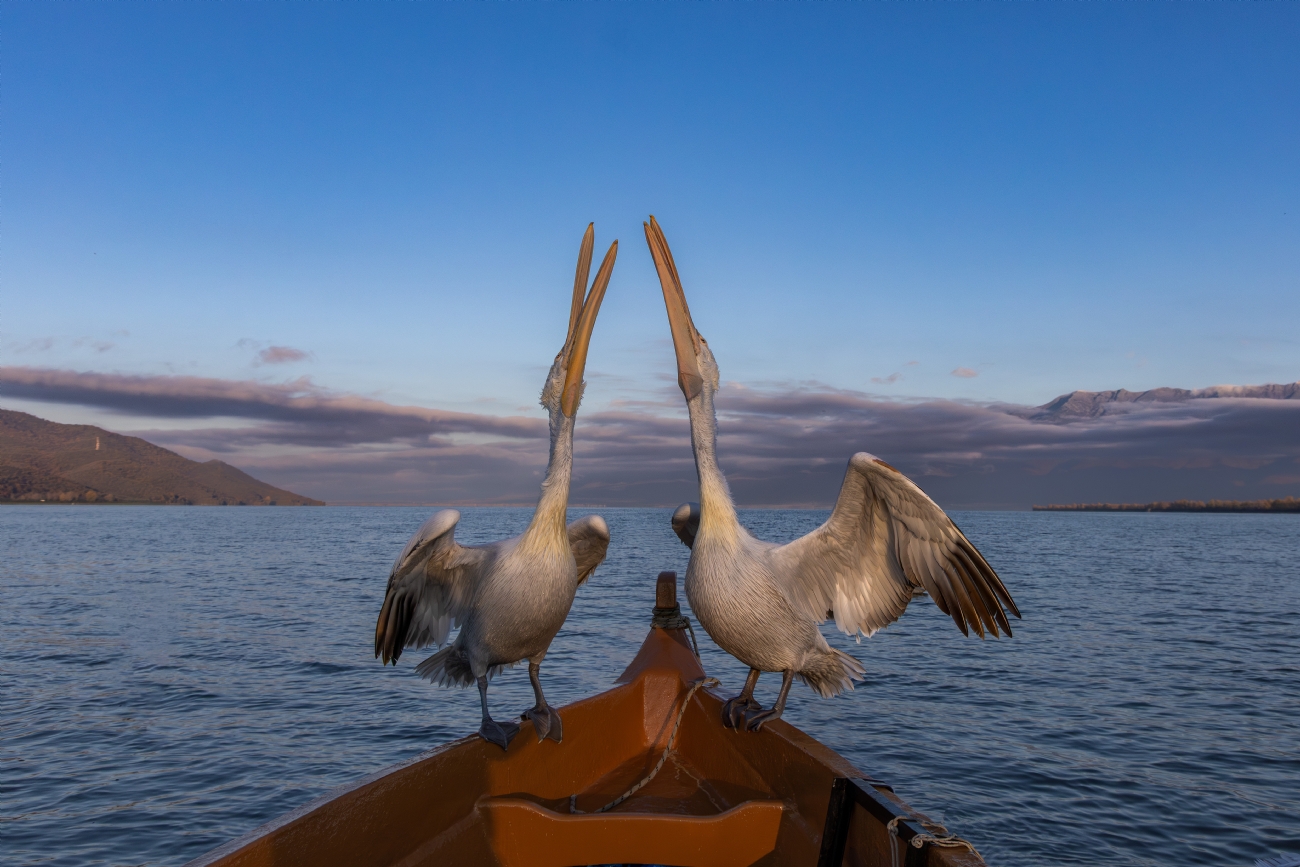 Best Photos of the Week