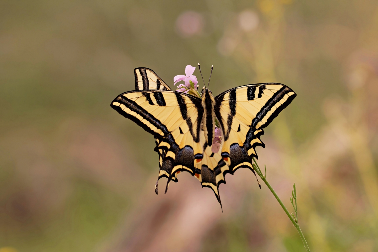 Best Photos of the Week