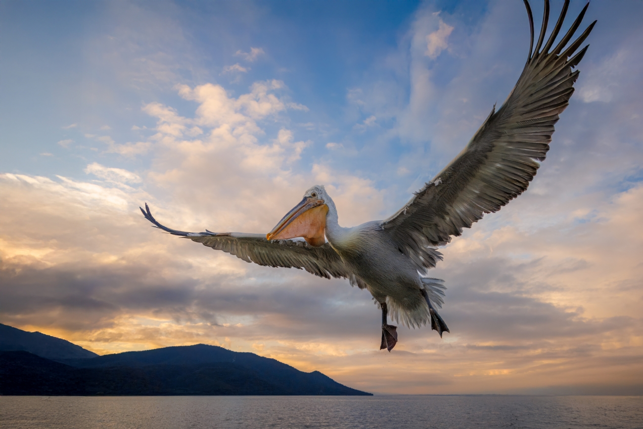 Best Photos of the Week