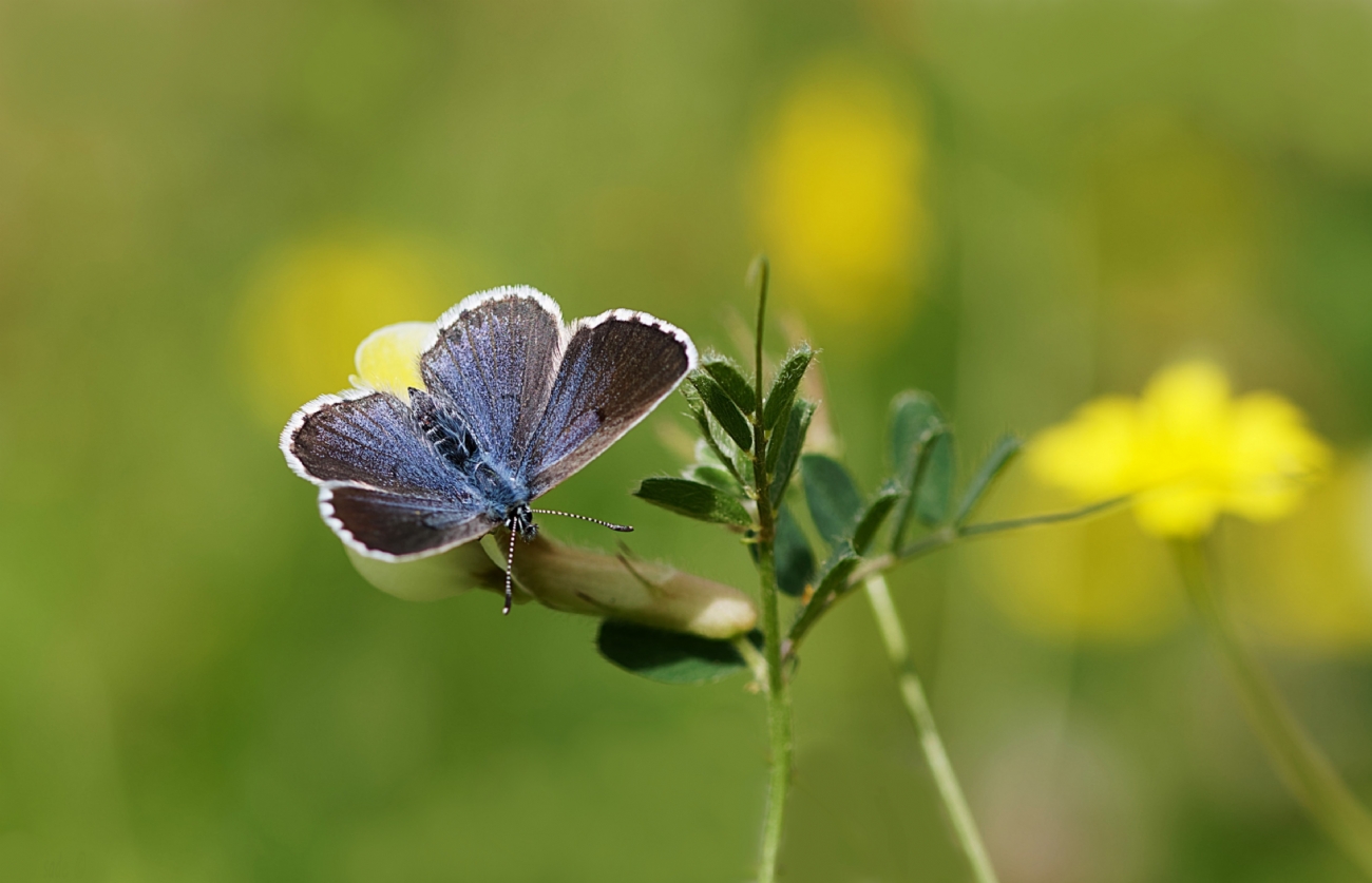 Best Photos of the Week