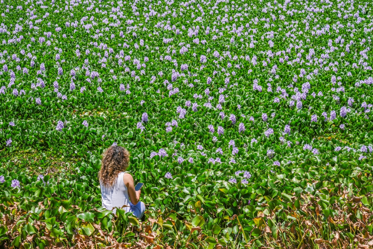 Best Photos of the Week