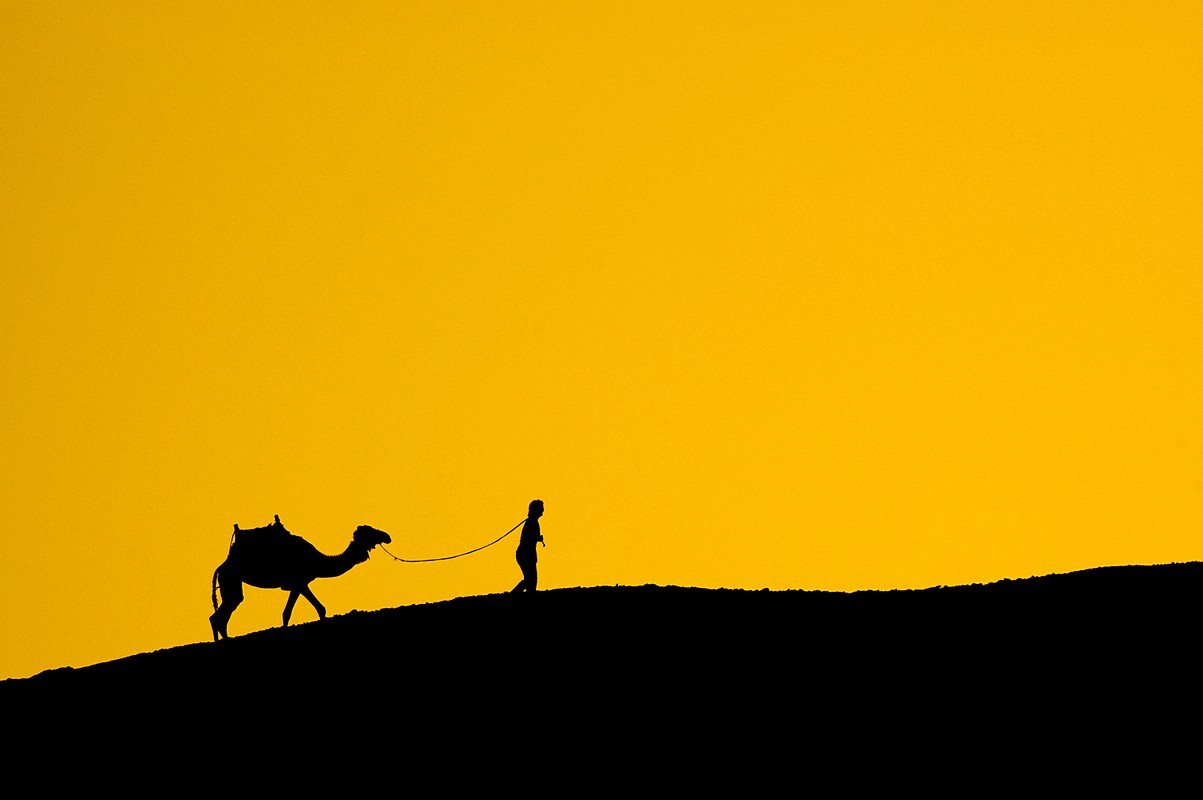 by: Amit Erez