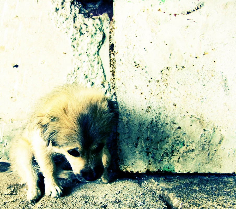 By:  