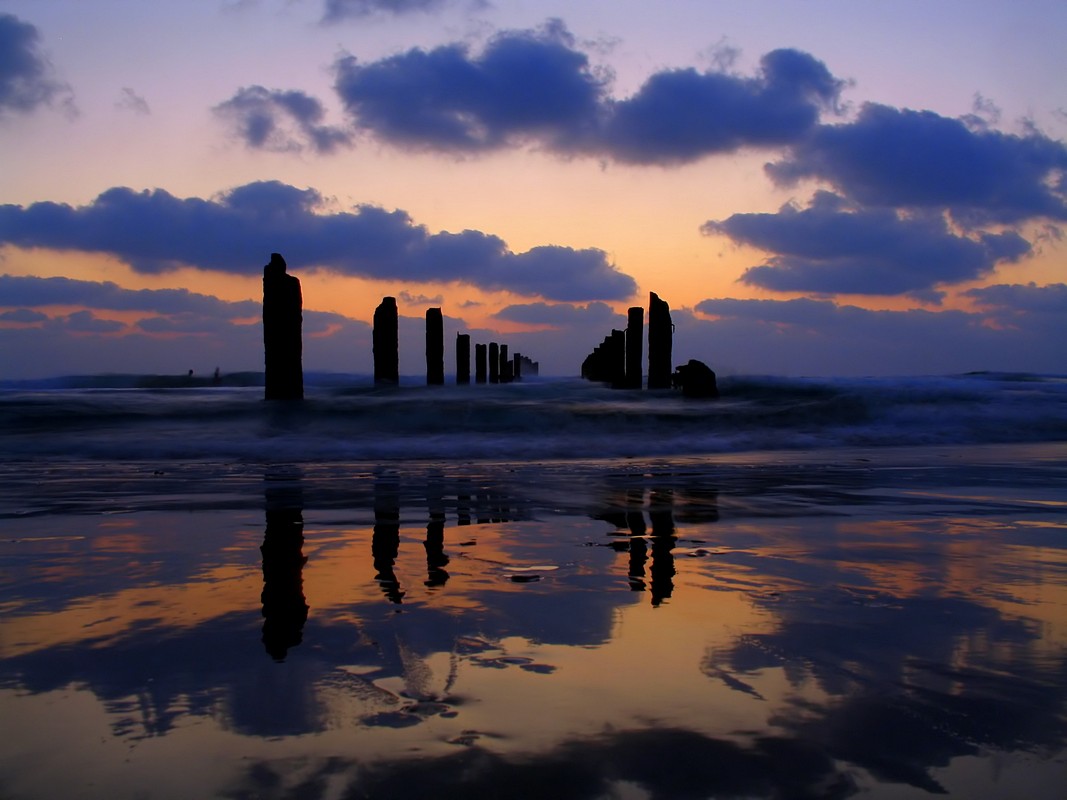 By: Yogev Cohen