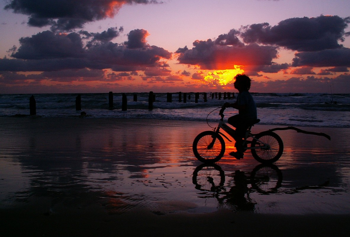 by: Cobe Thamshes 