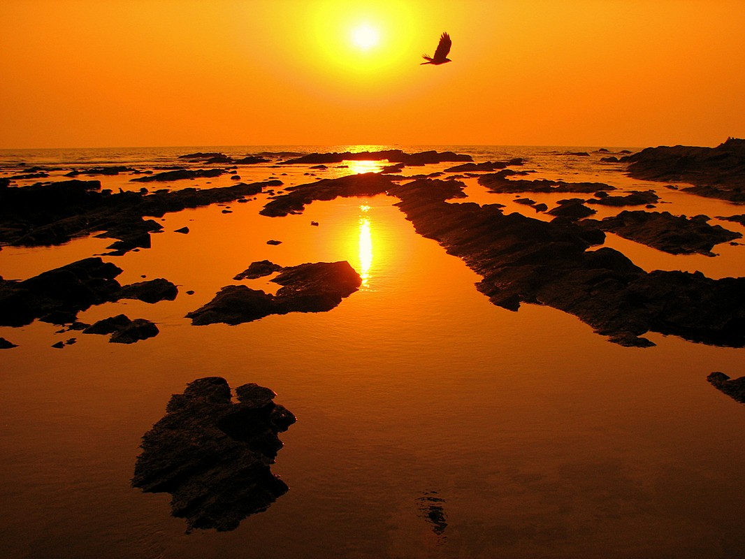 by: Oded Baron