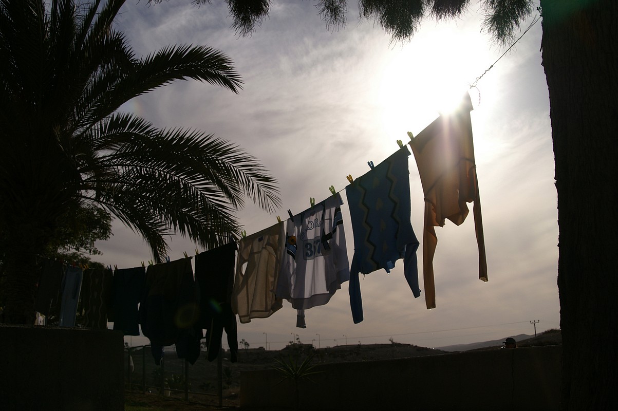 By: yigal meiron 
