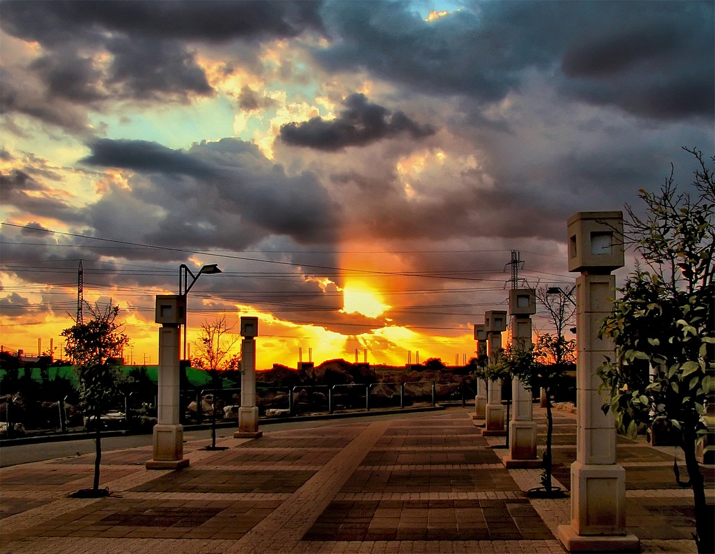 by: Orly Doron