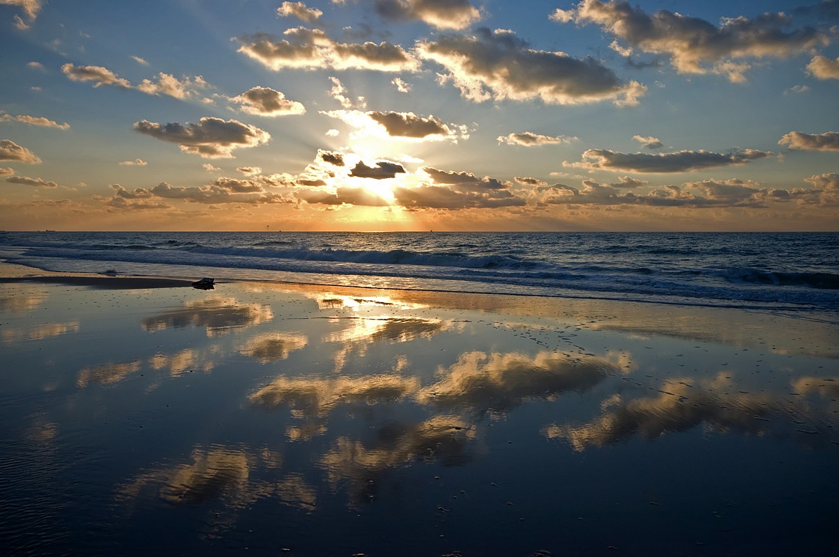 By: Oren Cohen