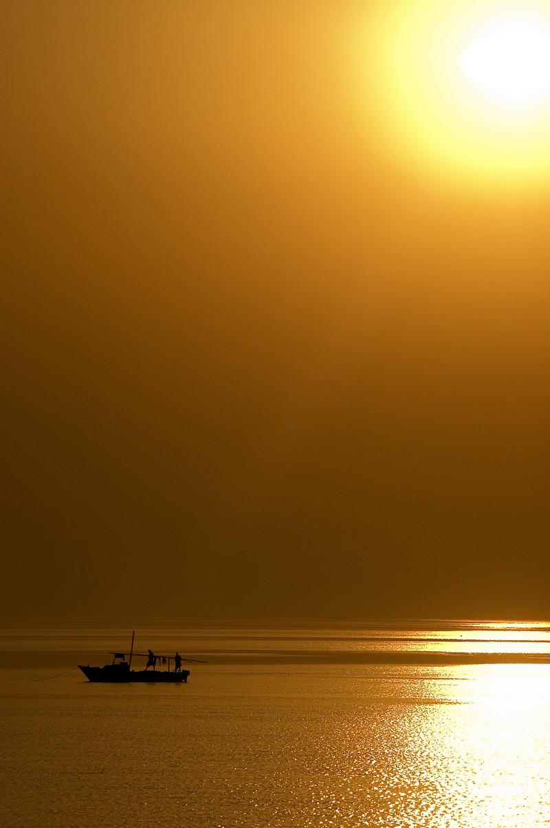 by: Oren Cohen
