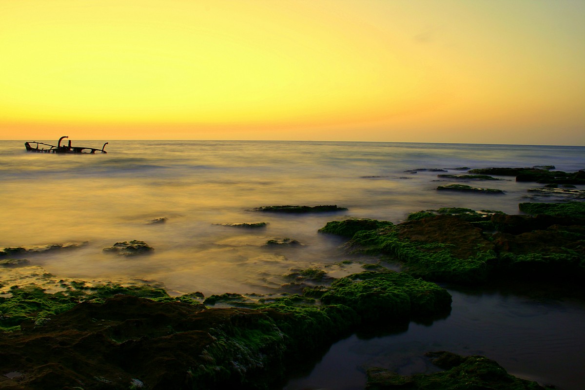 By: Yogev Cohen