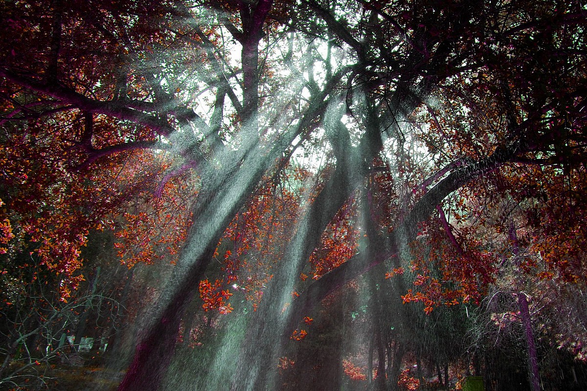 by: Raphael Abecassis