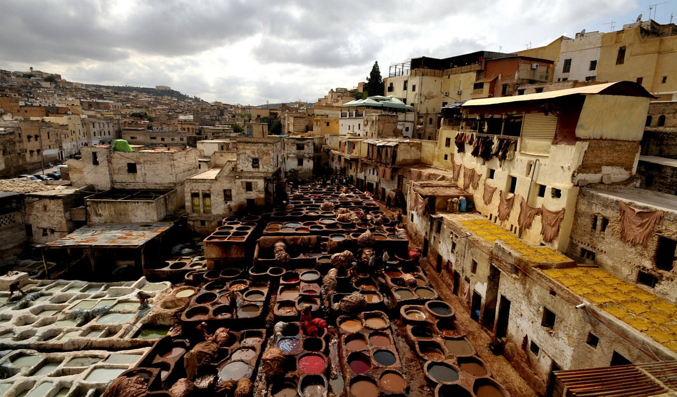 by: Moris ben harosh