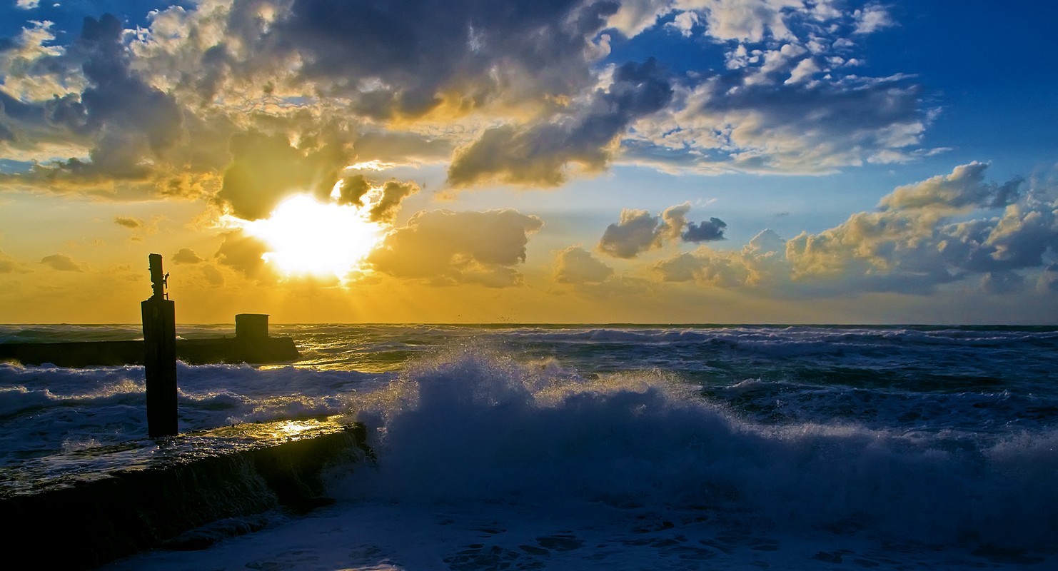 By: Oren Cohen