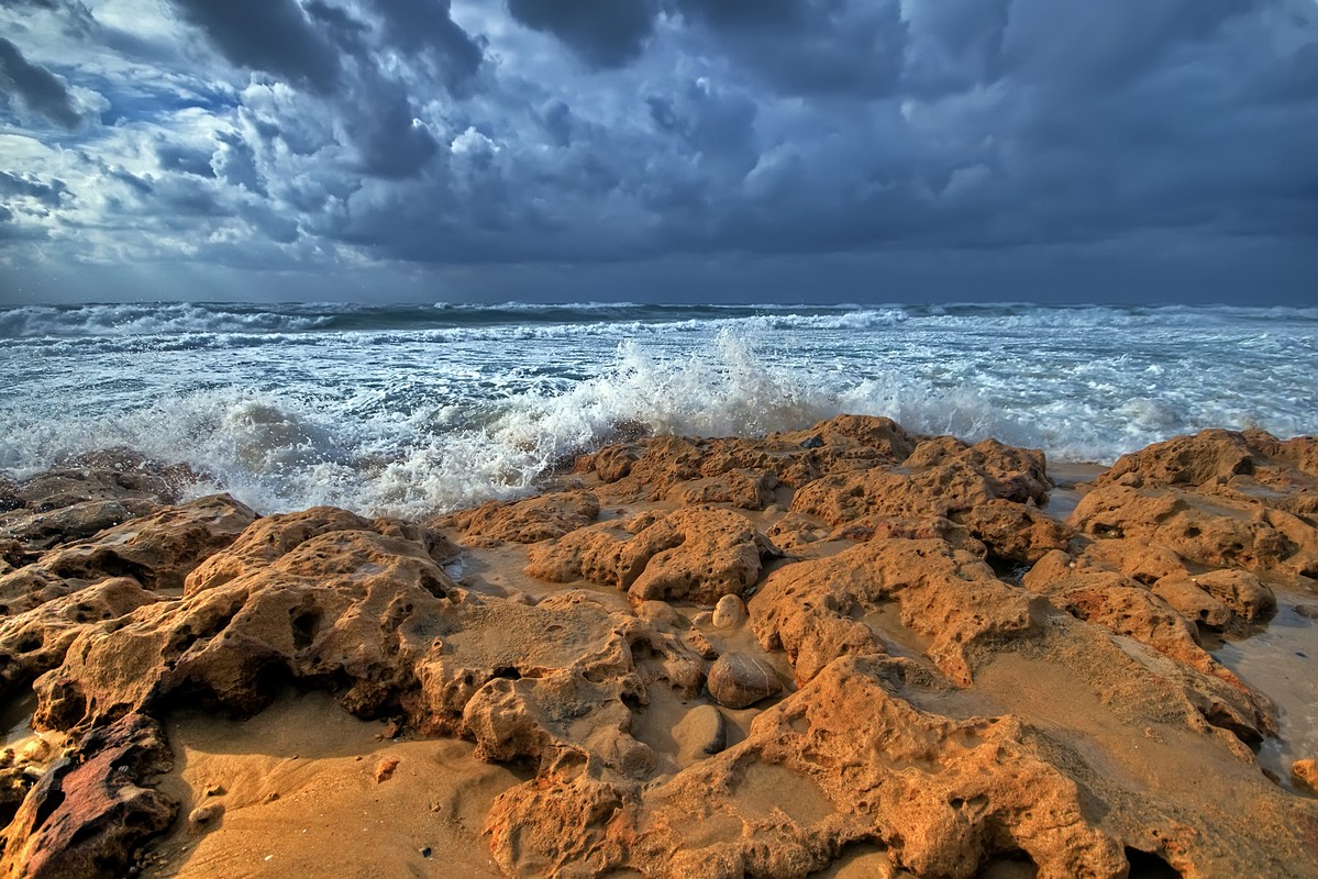 By: Oren Cohen
