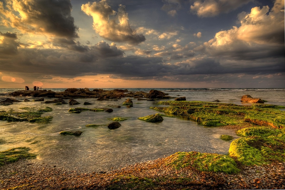By: Amnon  Eichelberg