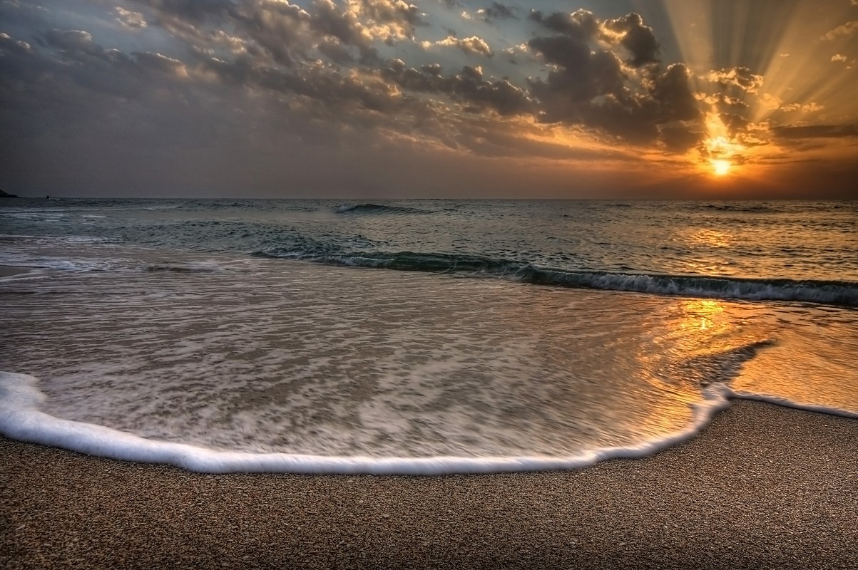 By: Amnon  Eichelberg