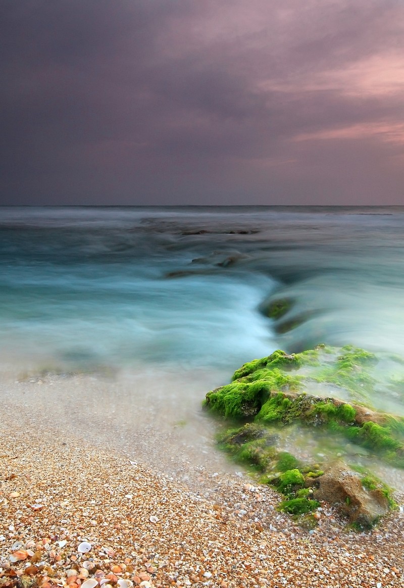 By: Amnon  Eichelberg