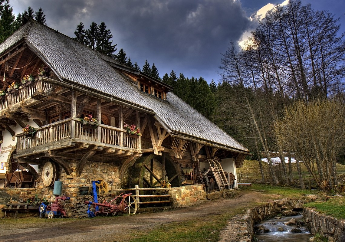 By: Amnon  Eichelberg
