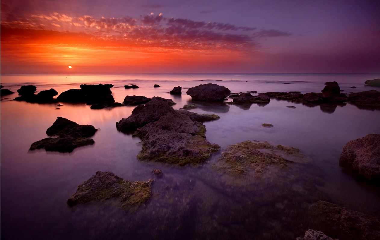 By: Galitz Roie
