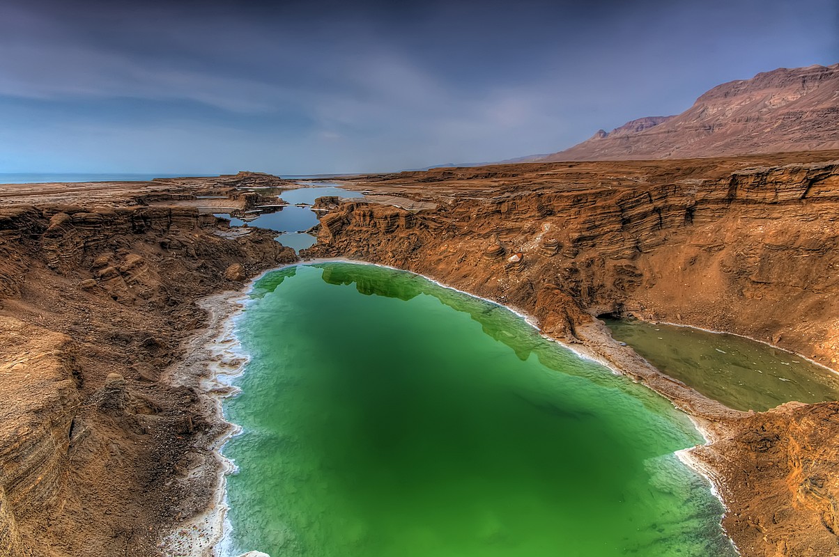 By: Oren Cohen