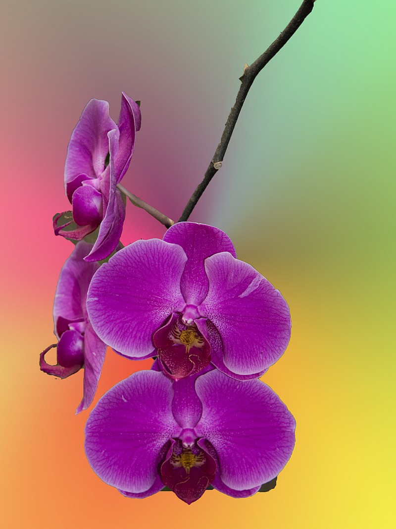 By:  