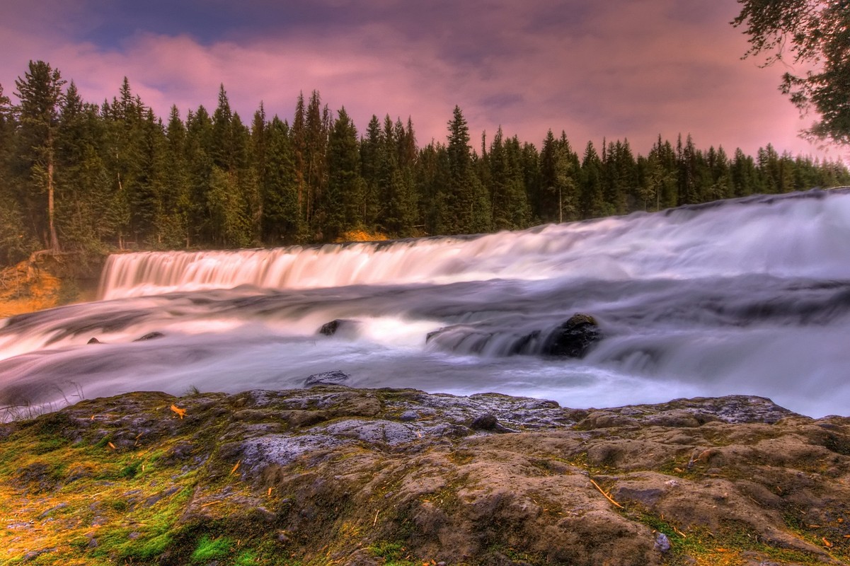 By: Amnon  Eichelberg