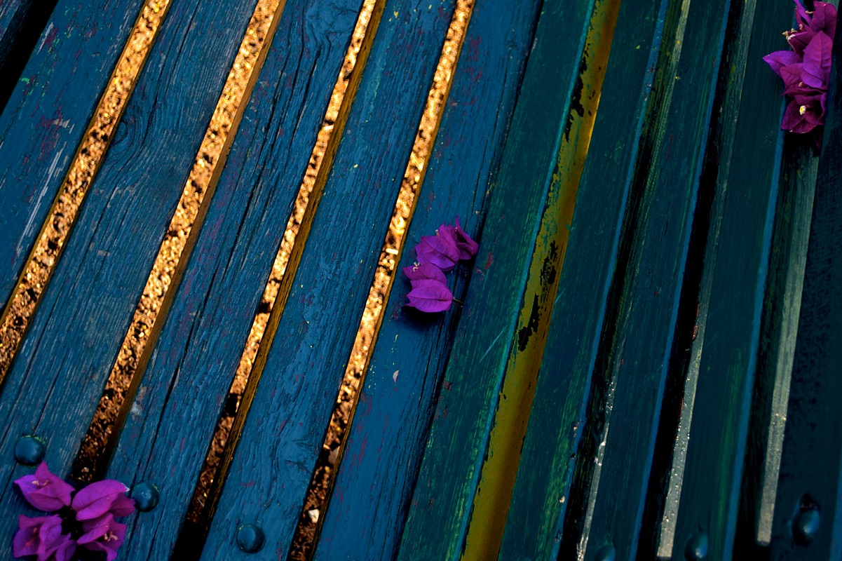 By: Yuval  Ben Amnon