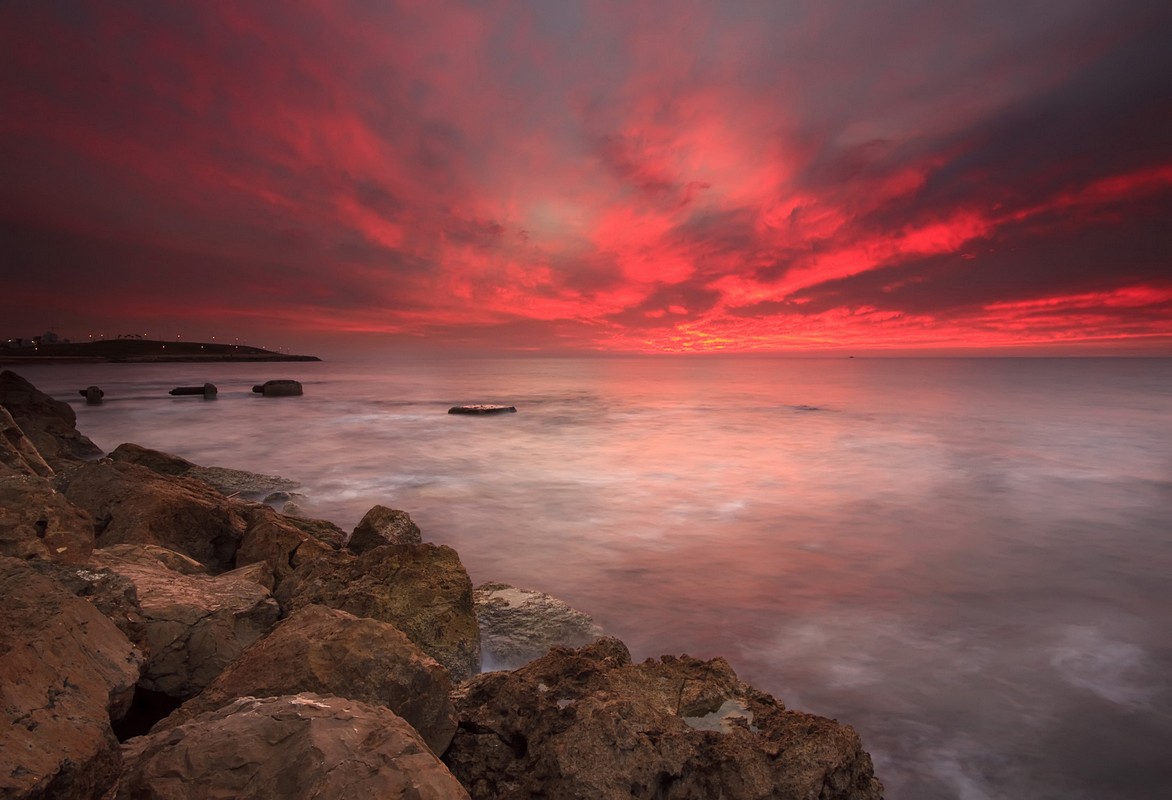 By: Amnon  Eichelberg