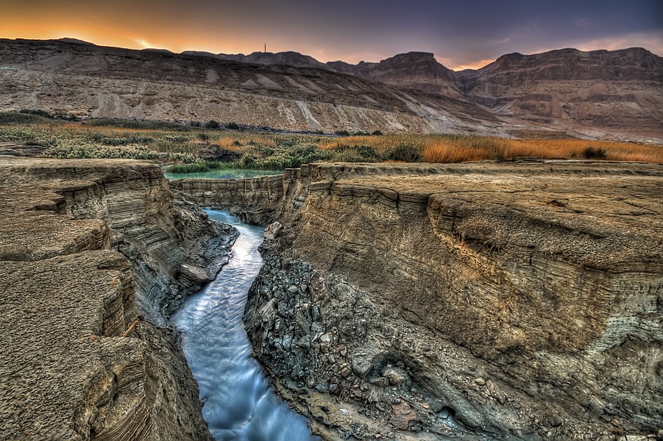 By: Oren Cohen